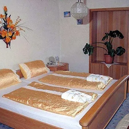Hotel Drei Könige Neckarbischofsheim